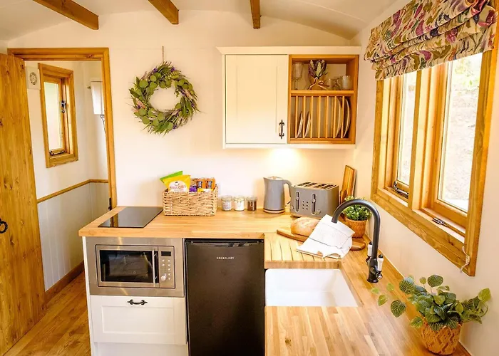 Lintmill Lodges - Bluebell Shepherds Hut